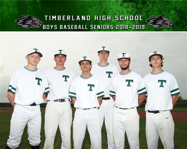 Senior Baseball 2019 